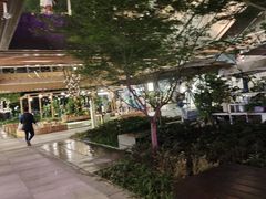 -瑞虹新天地月亮湾