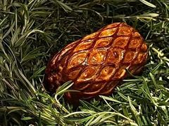 -Le Bistrot de Racine