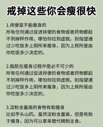 -Fundi张玉珊修身堂·indiba·BTL科技瘦身