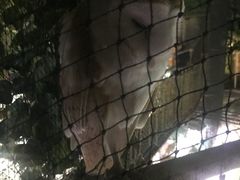 -迪拜水族馆及水下动物园