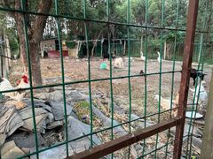 -呼吸森林·生态农庄农家乐私房菜