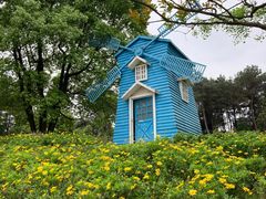 -铁山坪森林公园