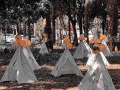 -南宁良凤江国家森林公园