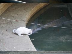 -宝通禅寺