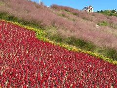 -沂蒙云瀑洞天景区