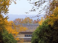 -灵谷景区