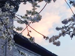 -雍和宫(地铁站)