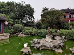 -祝家花園(伯渎港店)