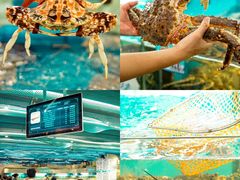 -达叔香味海鲜(海棠68环球美食街店)