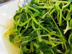 野生灵芝菜-徽州美食(三十年老店)