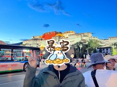 -布达拉宫
