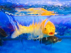 -AEON永旺(东方宝泰店)