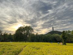 -北坞公园