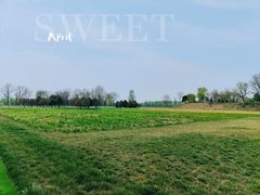 -汉长安城未央宫国家考古遗址公园