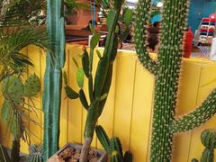 -彼德西餐厅(凯德广场新南店)