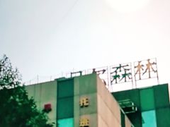 -贝尔森林托育(青林湾园)
