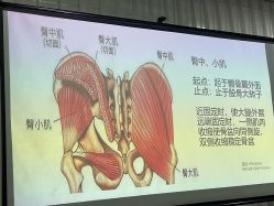 -亚太瑜伽普拉提学院