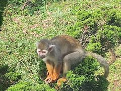 -大连森林动物园