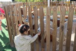 -萌宠亲子动物乐园(槐房万达店)