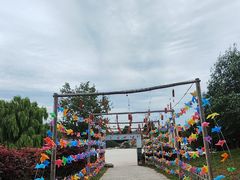 -北京西山国家森林公园