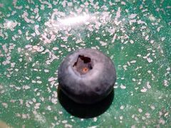 -新荣记(新源南路店)