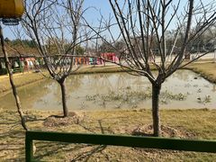 -盈香心动乐园