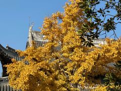 -龙华素斋(龙华路店)