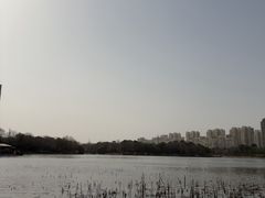 -南翔镇银翔湖公园