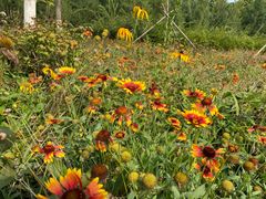 -永定河休闲森林公园