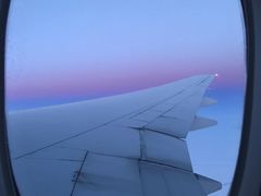 -纽瓦克自由国际机场