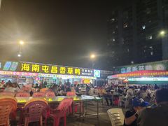 -盐禾堂海南屯昌香草鸭(总店)