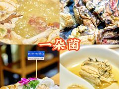 -一朵菌·野生菌探索家火锅(南亚店)