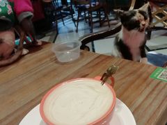 -猫色咖啡·猫咖