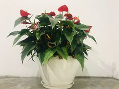 -印象莫奈时光映迹艺术展