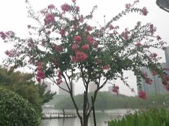 -杭州城北体育公园