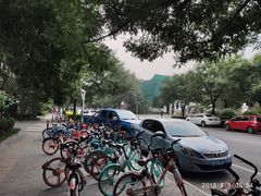 -布拉戈维申斯克