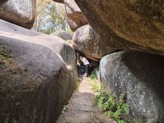 -玉苍山国家森林公园