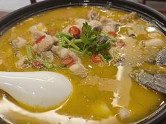 -鲁宴·鲁煨黄河生态大鲤鱼(月坛店)