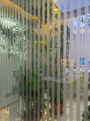 -西美医疗美容门诊部