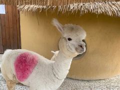 -珠海海泉湾神秘岛亲子乐园