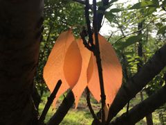 -浙江越秀外国语学院