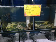 -蚝专家(北滘店)