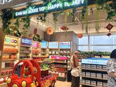 -河内内排国际机场