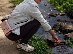 -白水寺森林公园