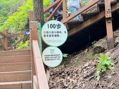 -大岭沟猕猴桃谷风景区