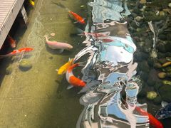-绿房子方寸咖啡(星海名城店)