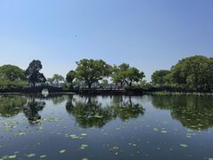 -无锡蠡湖国家湿地公园-蠡园