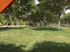 -永定河休闲森林公园