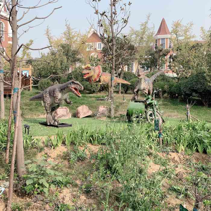 郑州松鼠部落森林假日公园-"和儿子提了一句松鼠部落,小朋友以为是