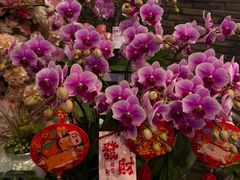 -豆豆花艺(新光天地店)
